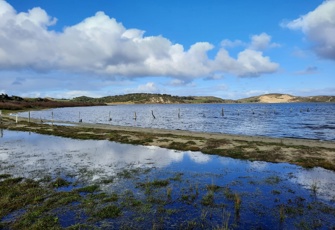 Tennants Lake off Port Hutt Road