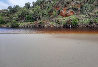 Mangatukurewa Creek/Nairn River at Rope