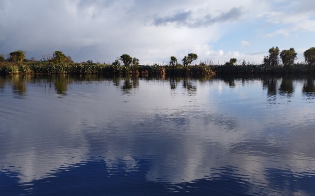 Lake Waiwhakareke (Horseshoe)