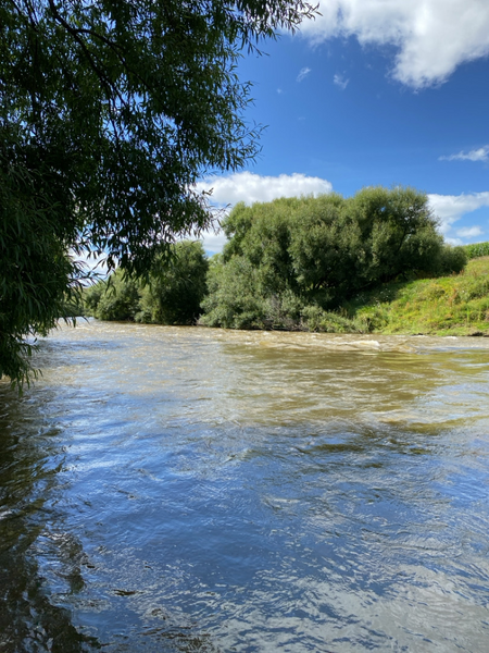 Mokau River