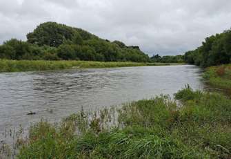 Temuka River u/s Manse Bridge (1)