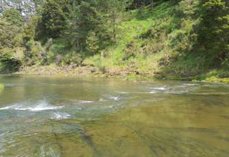 Hakaru River @ Topuni Farm