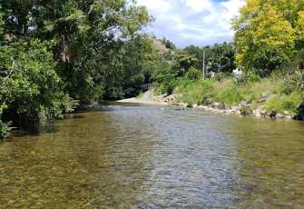 Maitai at Avon Terrace Upstream