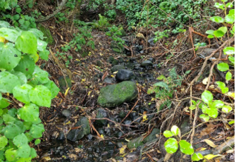 Stream Reserve Drain (Zephyr Stream) above outfall to Governors Bay