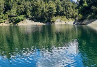 Totara Flat Portrait 01