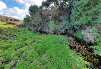 Waimahana Creek at North Road