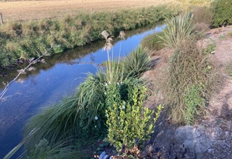 Halswell River at Wroots Road