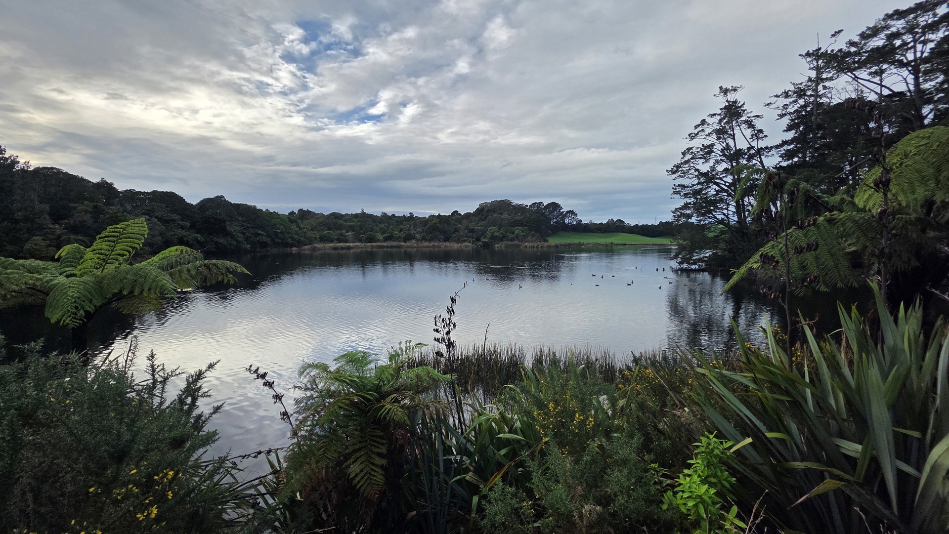 Rotokare / Barrett Lagoon