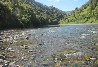 Waioweka at Tauranga Bridge