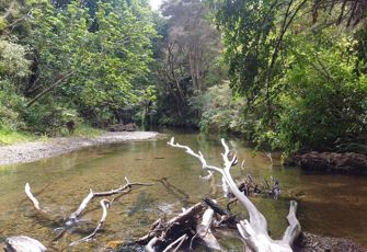 Punaruku at Russell Road
