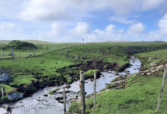 Awamata Stream at Waitangi Tuku Road
