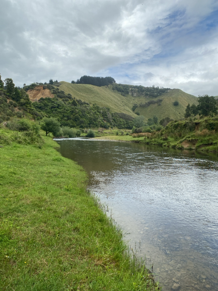 Awakino River