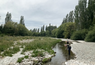Hinds River at SH1 (1)