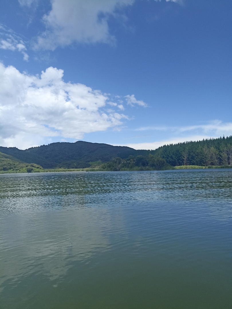 Lake Rotoroa (South of Kawhia)